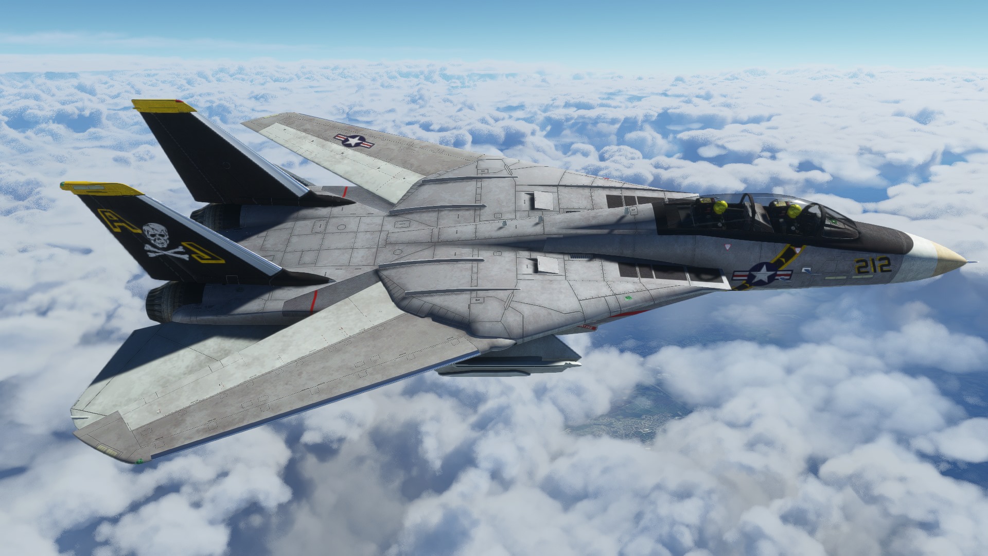 Microsoft Flight Simulator F14