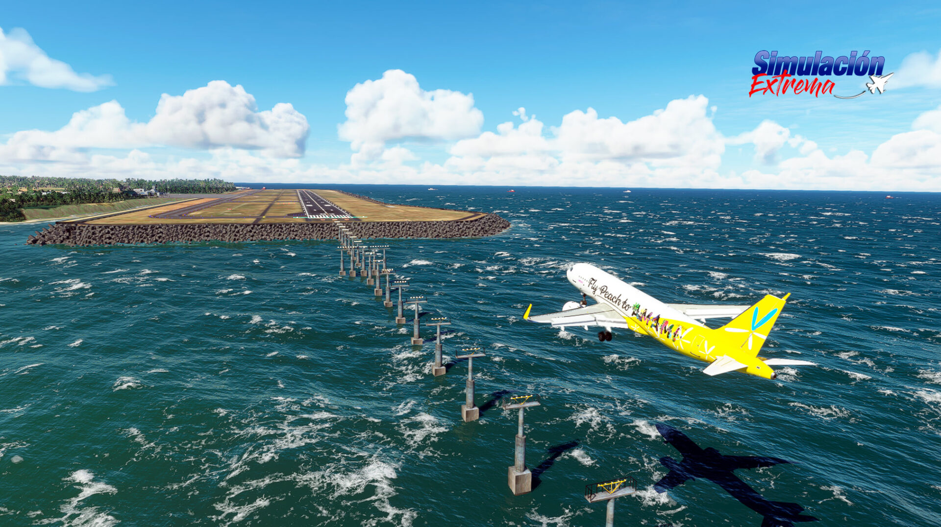 Microsoft Flight Simulator Amam