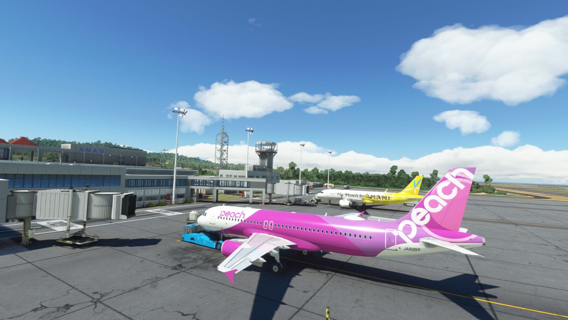 Amami Airport for Microsoft Flight Simulator Critic Review
