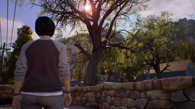 Found Dog! achievement/trophy guide in Life is Strange: True Colors -  Gamepur