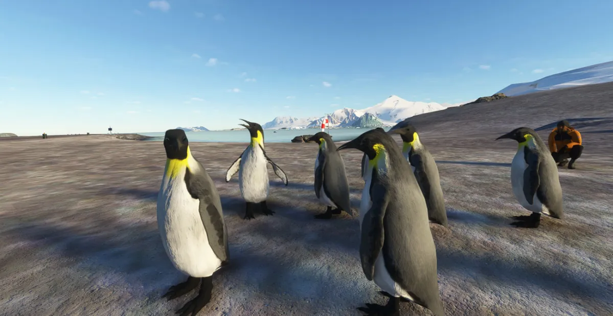 Microsoft Flight Simulator Antarctica