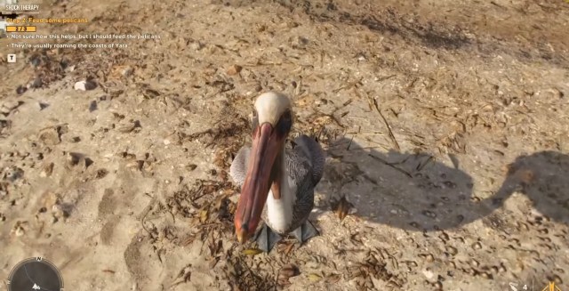 feeding pelicans in Far Cry 6