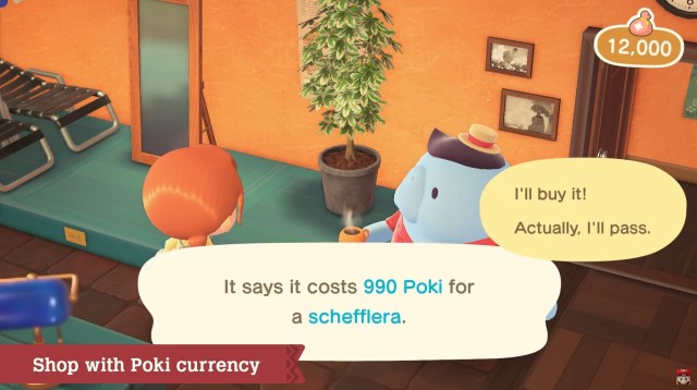 Poki, Animal Crossing Wiki