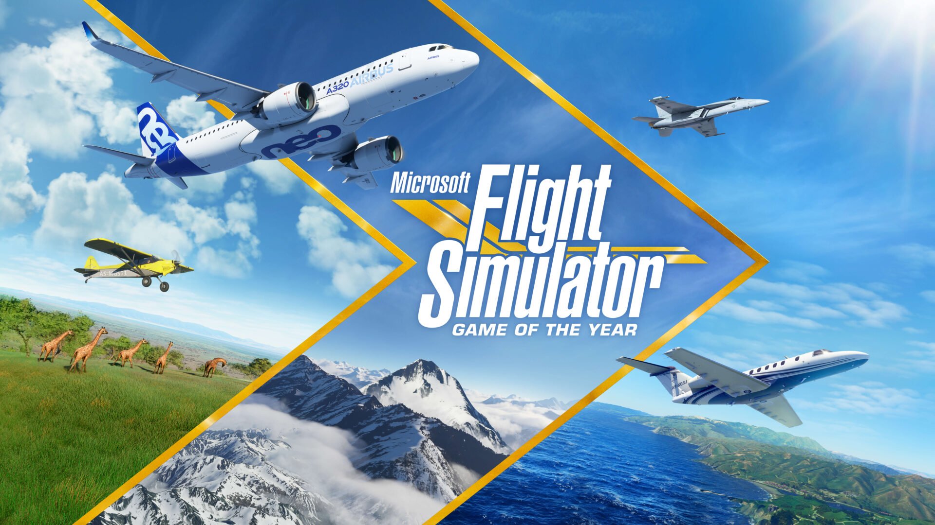 Microsoft Flight Simulator GotY