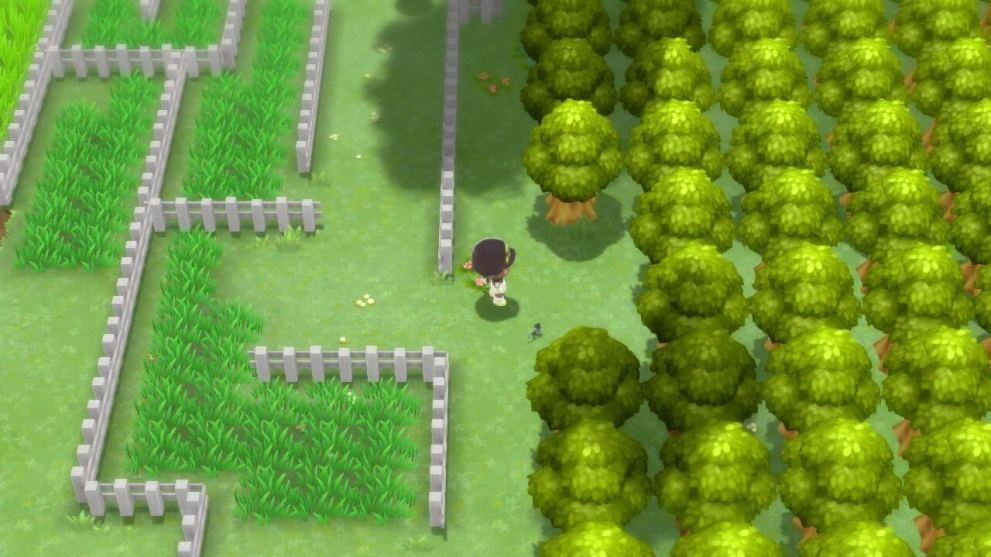 giratina spring path