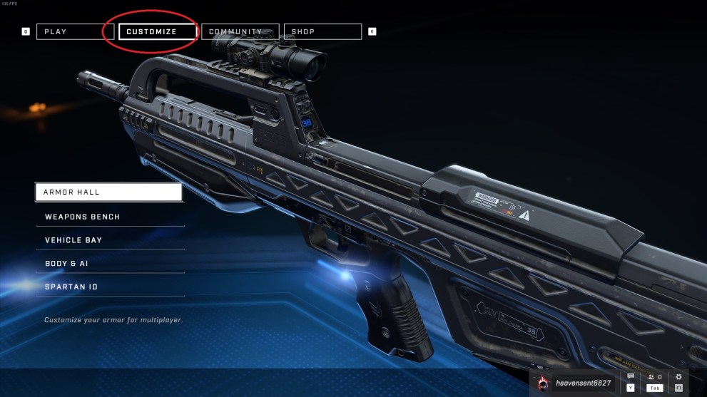 how to customize weapons