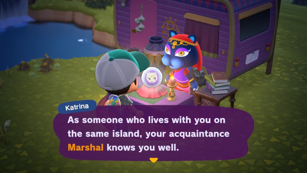Animal Crossing New Horizons: How to Visit Katrina, All Fortunes Explained  & Improve Islander Friendship