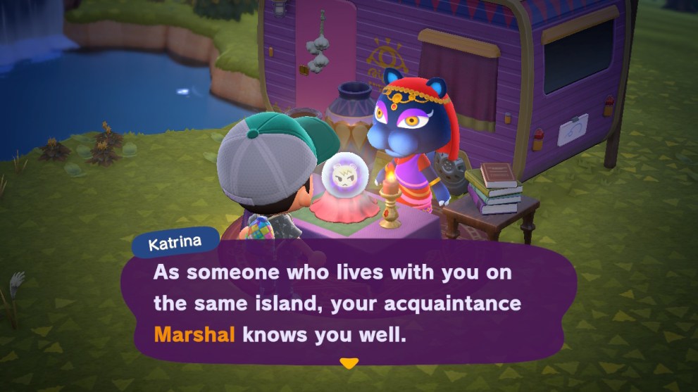 animal crossing new horizons katrina, katrina friendship fortune