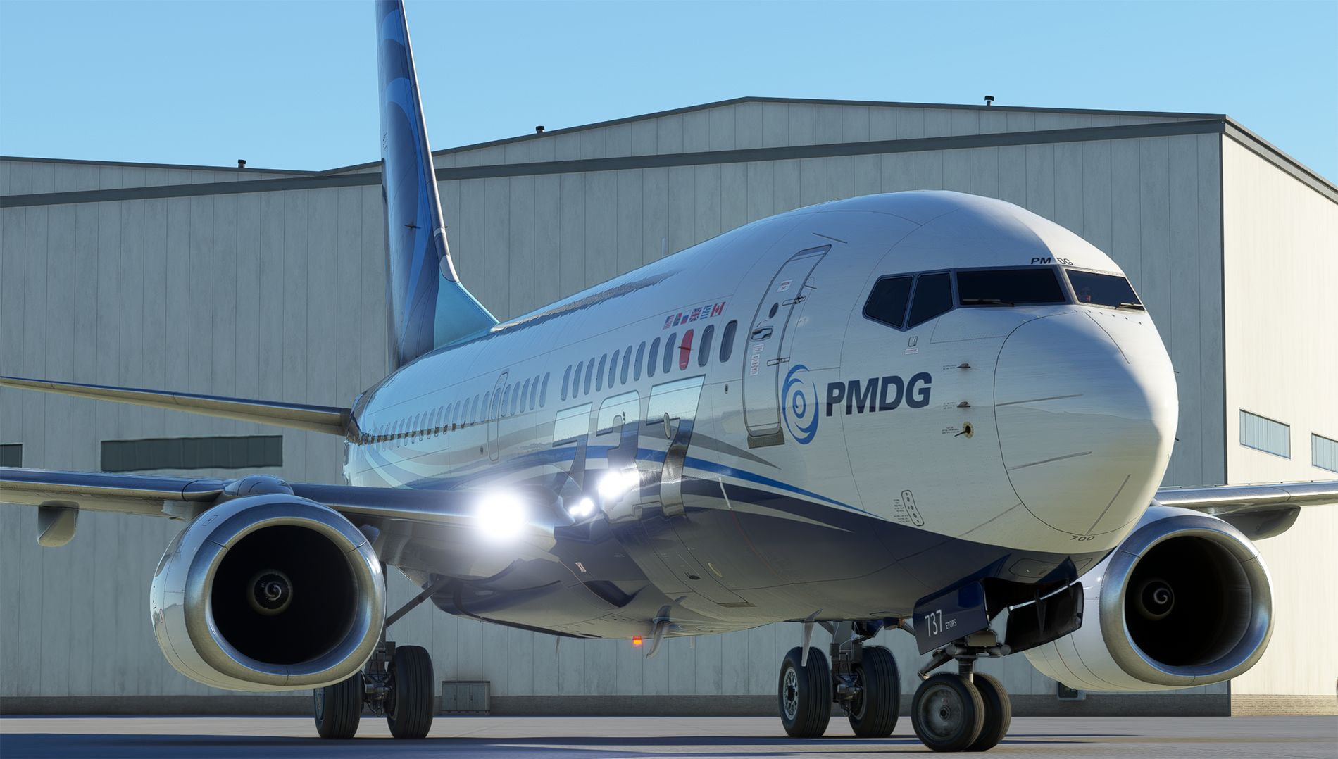 Microsoft Flight Simulator 737