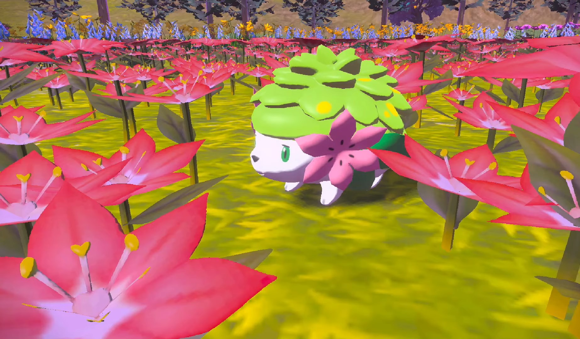 Shaymin can dissolve toxins in the air!, Shaymin can instantly transform  ruined land into a lush field of flowers by dissolving toxins in the air!  🌸, By Pokémon