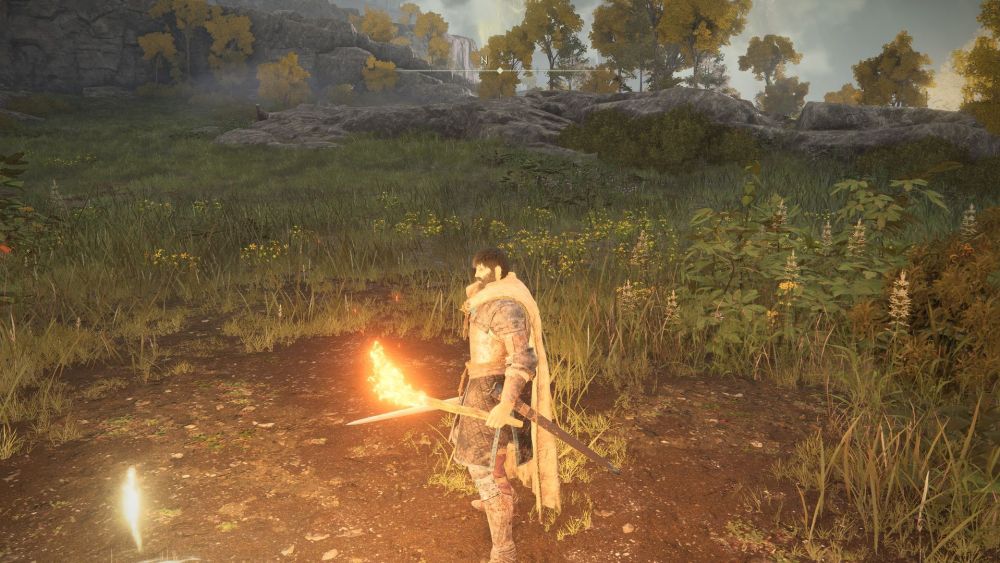 using torch in elden ring