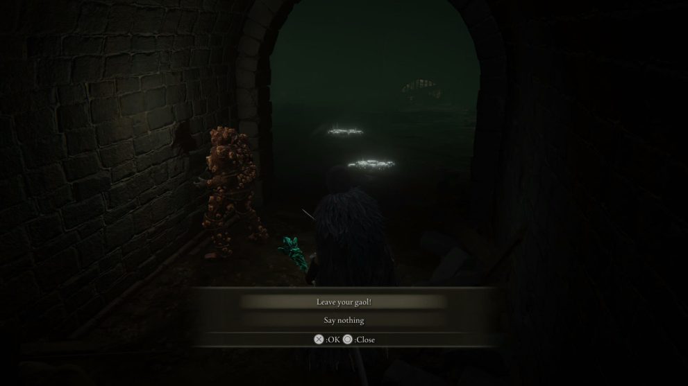 Elden Ring Dung Eater Quest Guide: All Seedbed Curse Locations - Twinfinite
