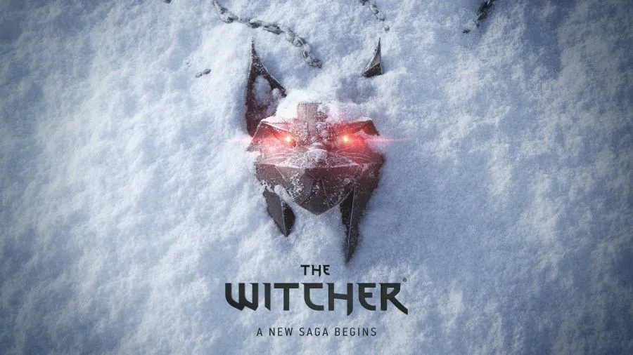 New Witcher Game