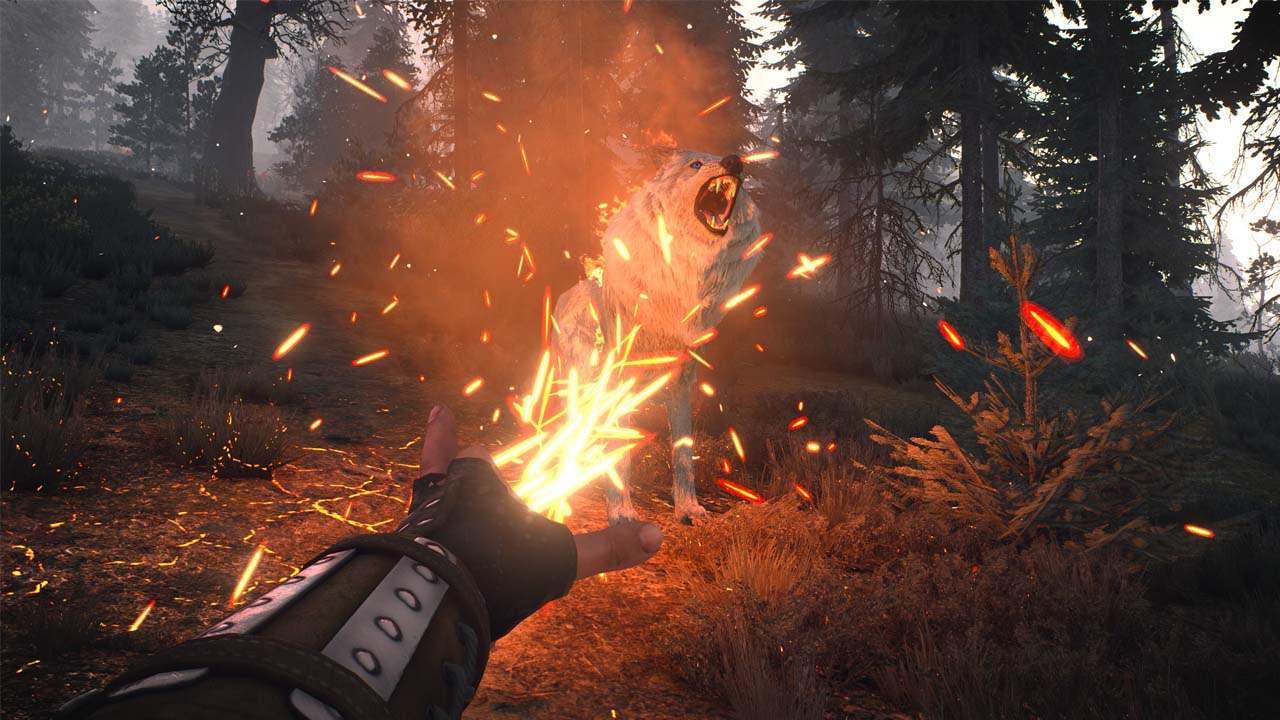 the witcher 3 first person mod