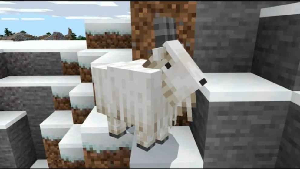 what goat horn is used for in minecraft