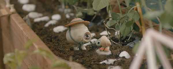 A24’s Marcel the Shell With Shoes On Delivers Maximum Cuteness in New Trailer