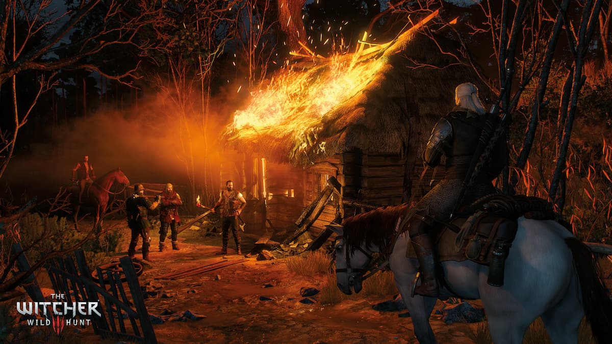 Witcher 3: Wild Hunt Next Gen Versions Delayed