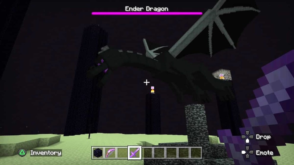 The Ender Dragon