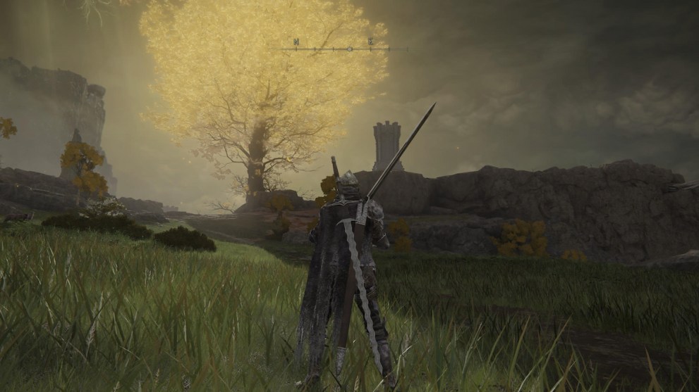 How to Get to Minor Erdtree Catacombs in Elden Ring (& Why You Should ...