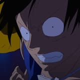 Luffy angrily about to punch an enemy