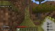 Top 12 Best Minecraft Survival Challenges - Twinfinite
