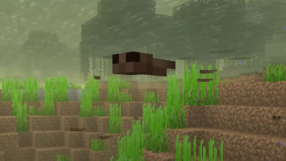 Where to Find Tadpoles in Minecraft Twinfinite