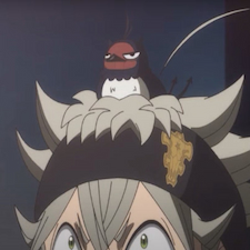 Nero bird sitting angrily on top of head