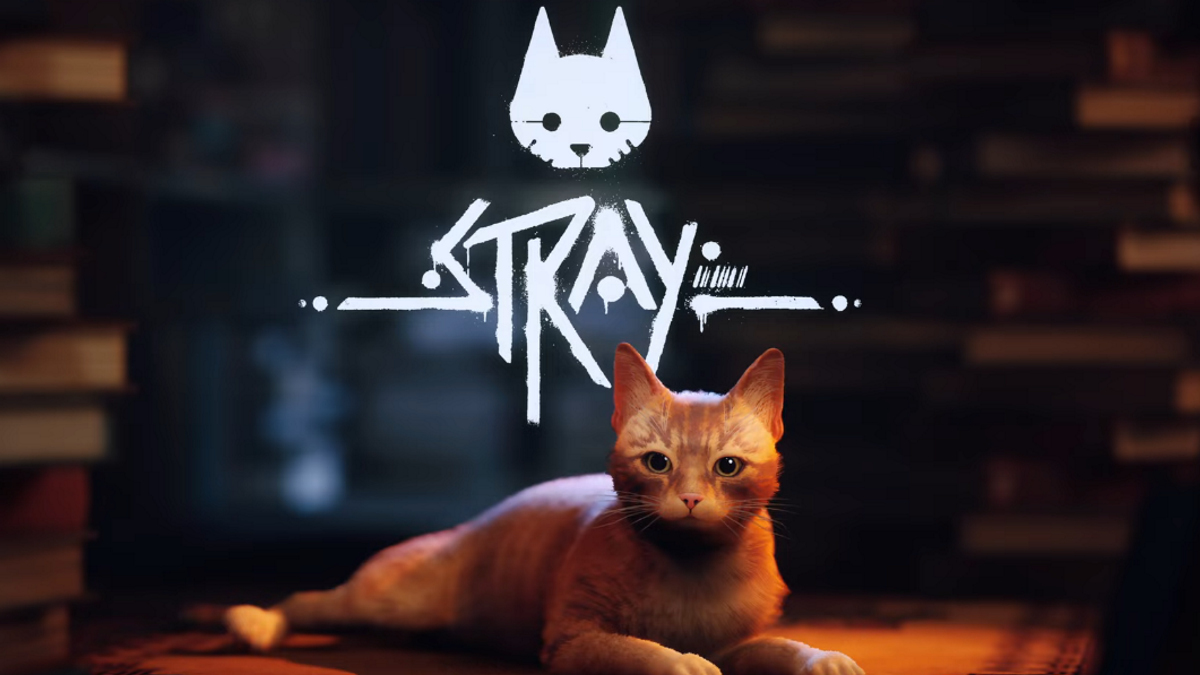 stray cat and logo