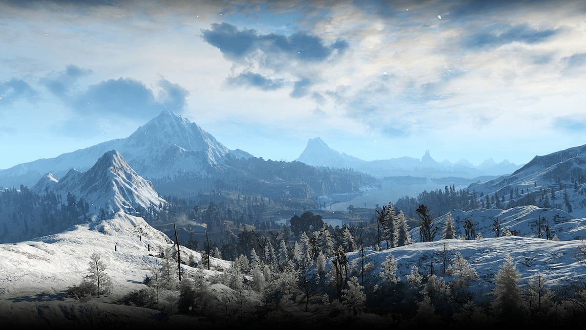 can you clear Skjall's name in The Witcher 3?