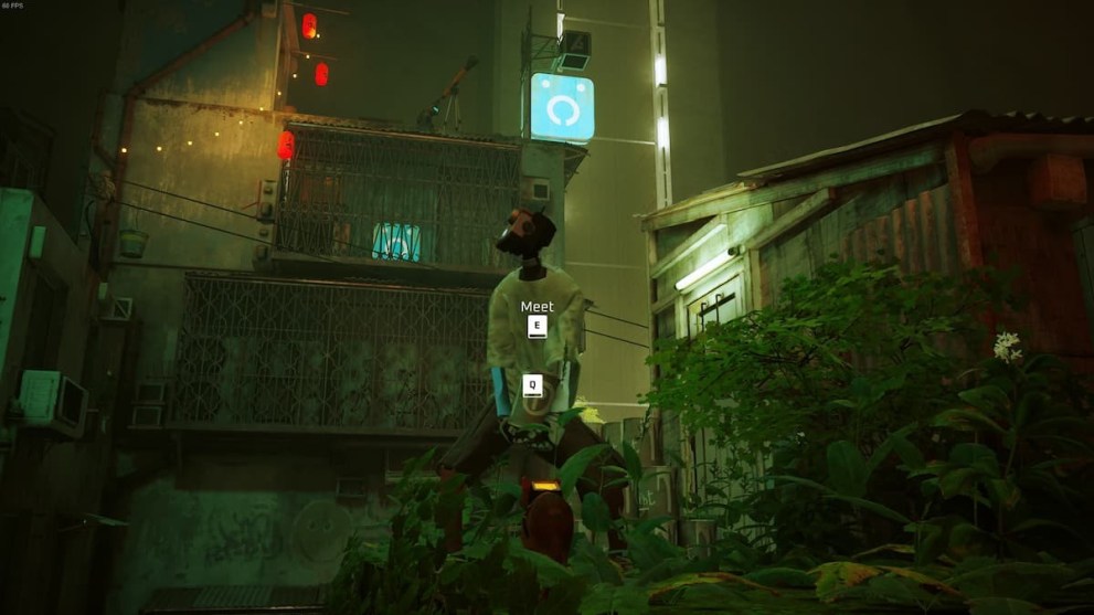 Stray Super Spirit Detergent