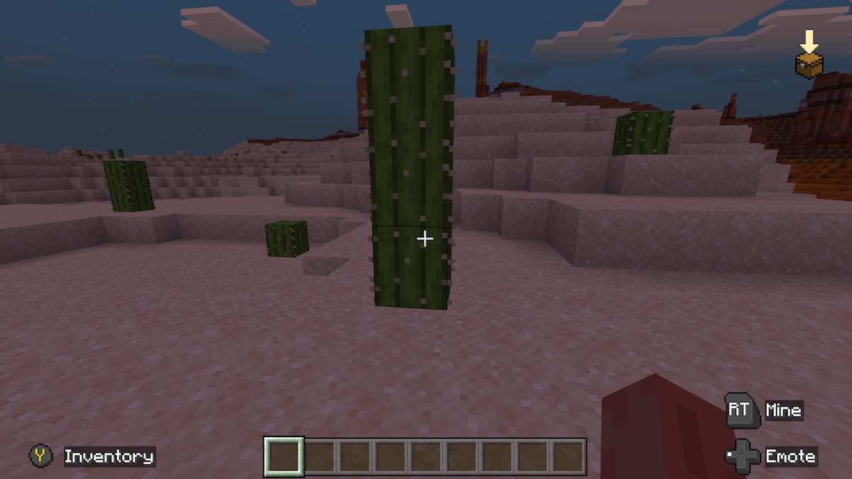 Minecraft Cacti in Desert Biome