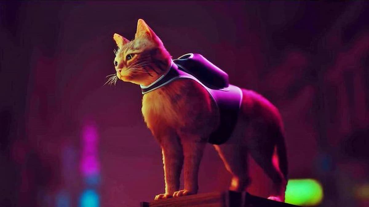 Top 10 Best Video Game Cats That Are Purrfect in Every Way Twinfinite