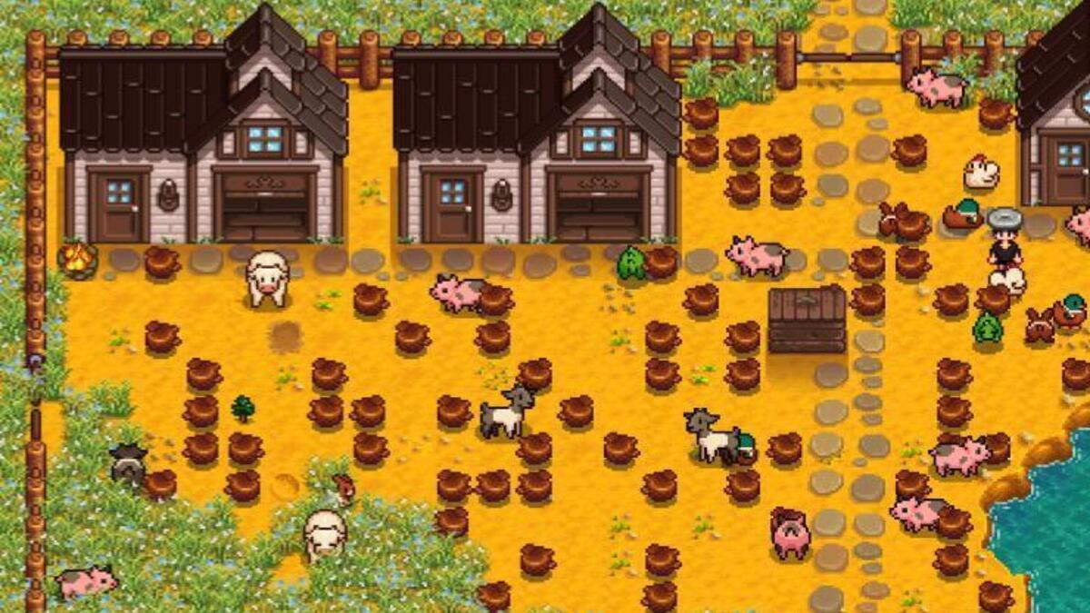 How to Get Truffles in Stardew Valley Twinfinite
