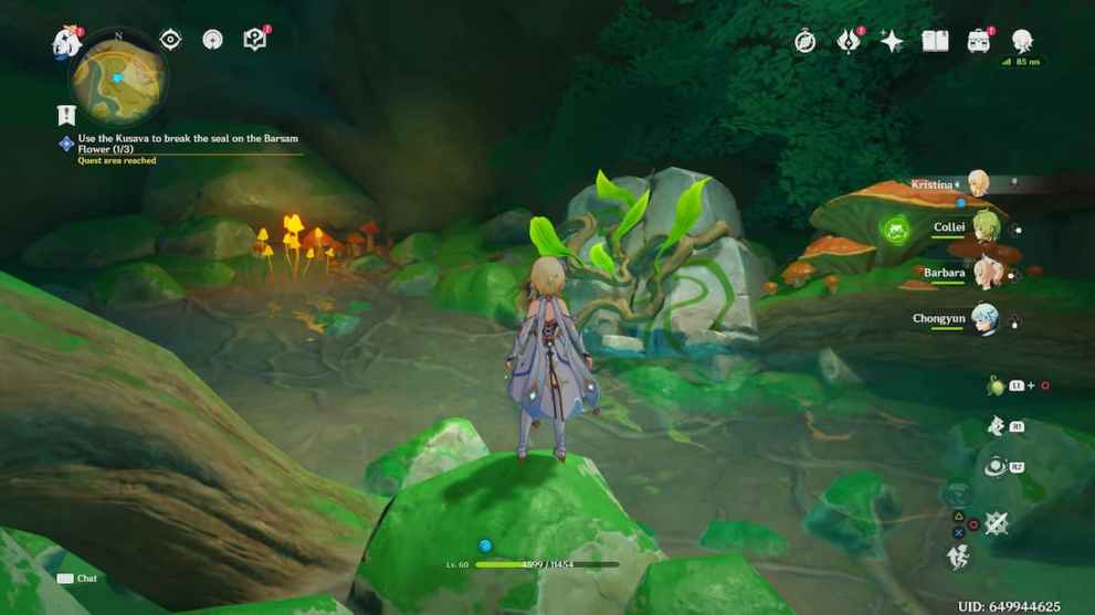 Agnihotra Sutra Quest Ruins