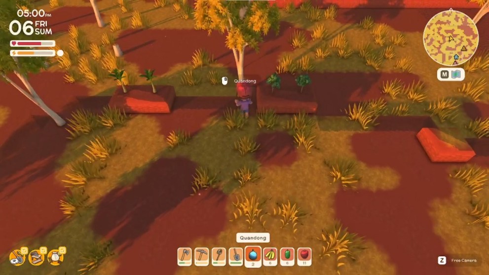 burying-fruit-in-dinkum