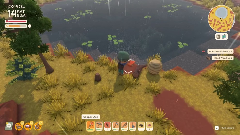 what-beehives-look-like-dinkum