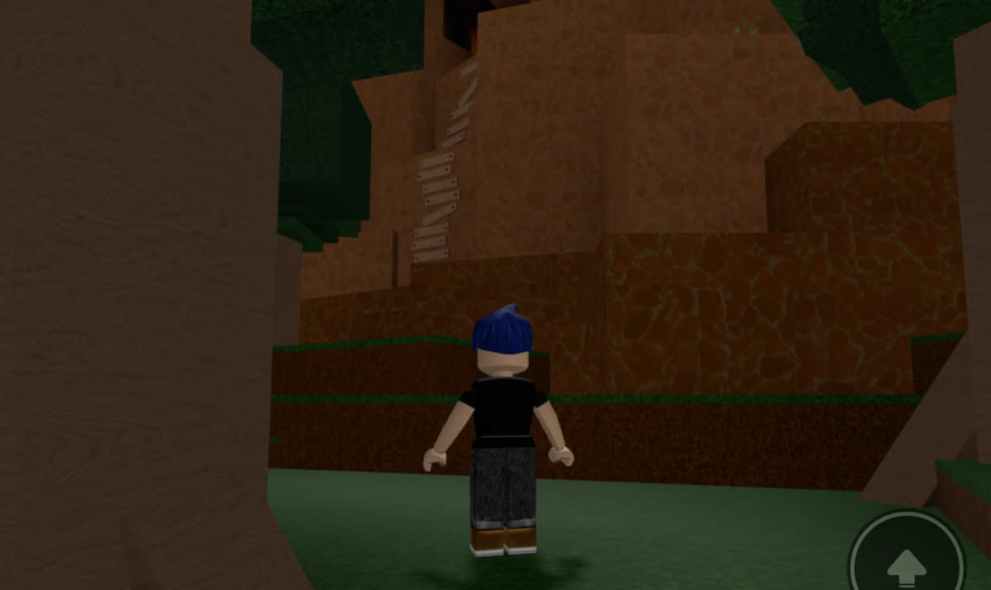 Roblox