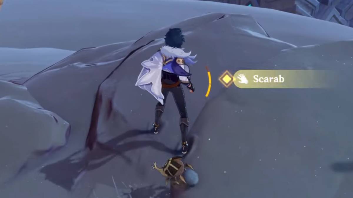 All Scarab Locations in Genshin Impact Twinfinite