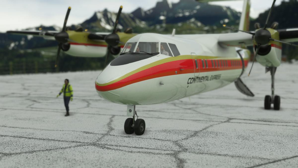 Microsoft Flight Simulator Dash 7