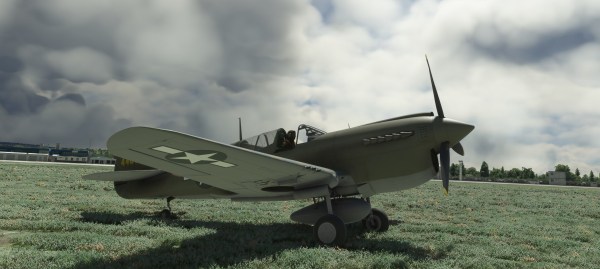 Microsoft Flight Simulator P40 (2)