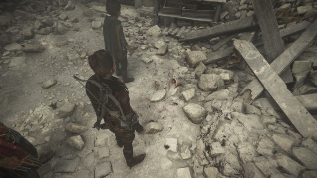 Where to Find Every Herbarium Flower in A Plague Tale Requiem