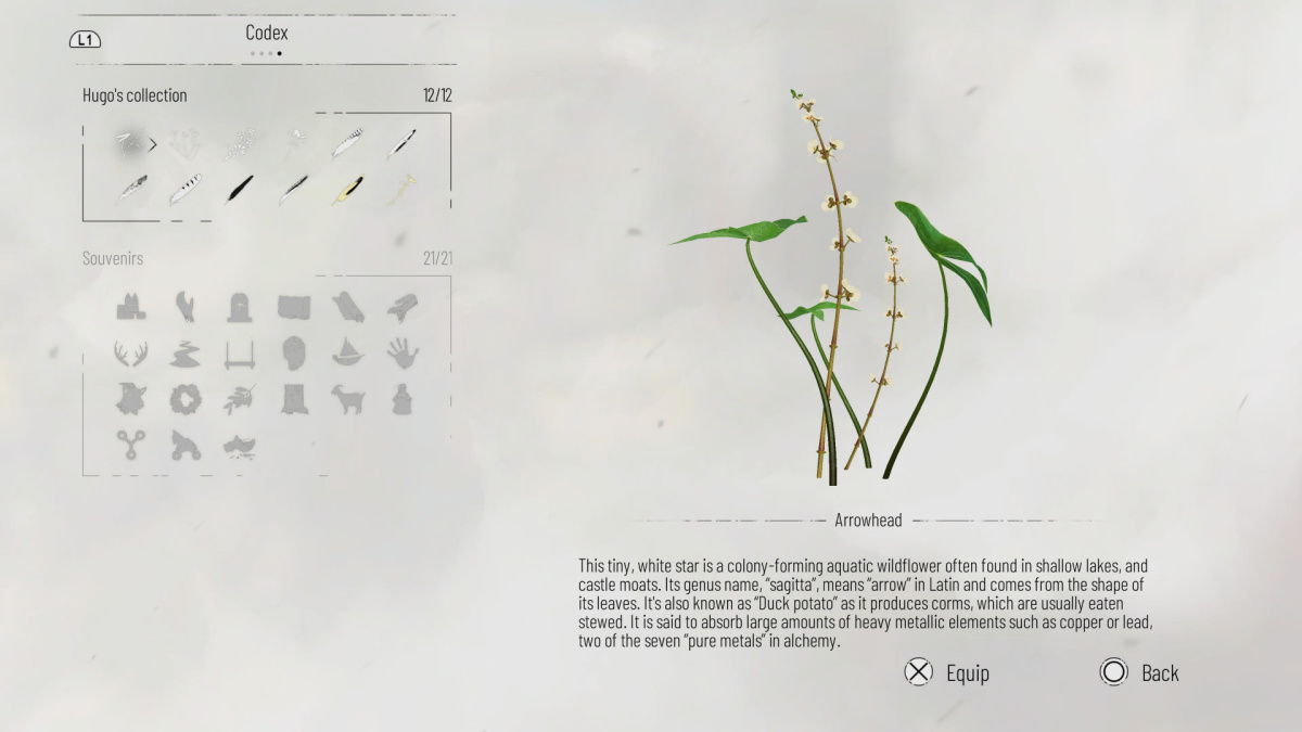 Where to Find Every Herbarium Flower in A Plague Tale Requiem