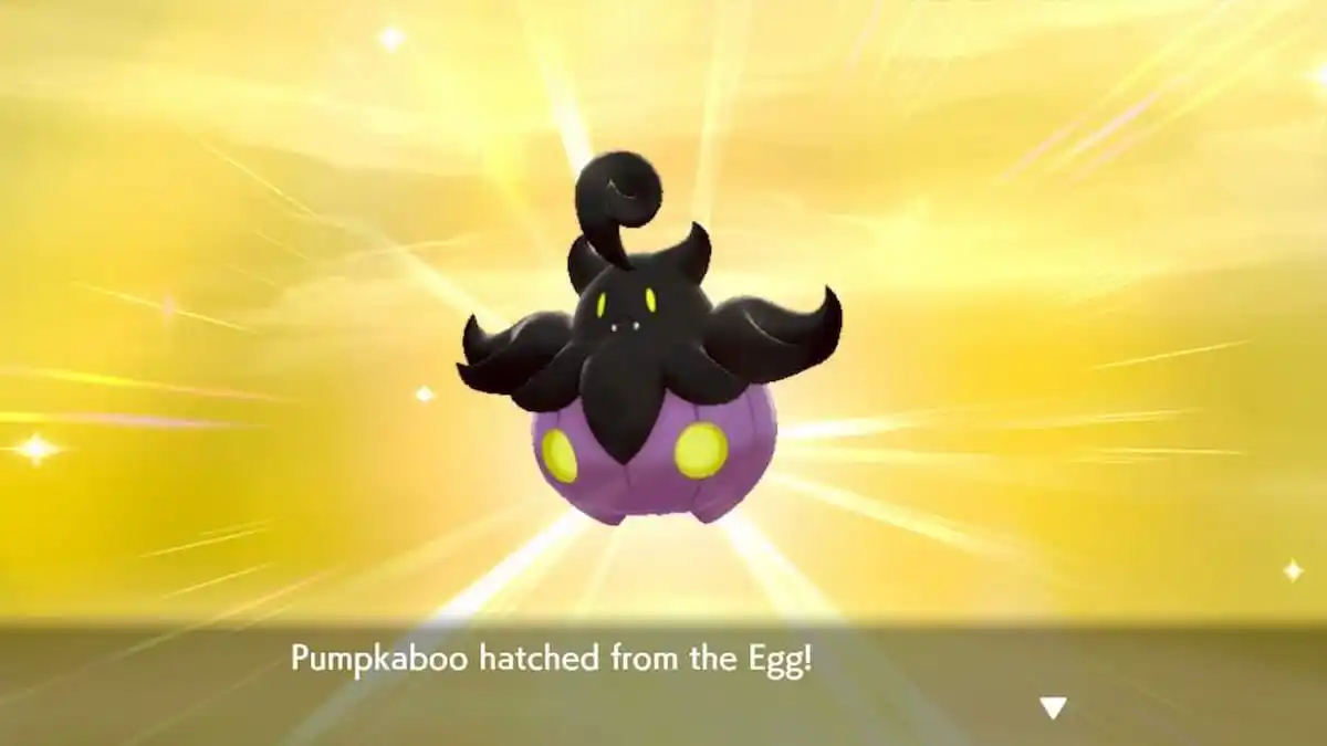 a newly hatched Shiny Pumpkaboo
