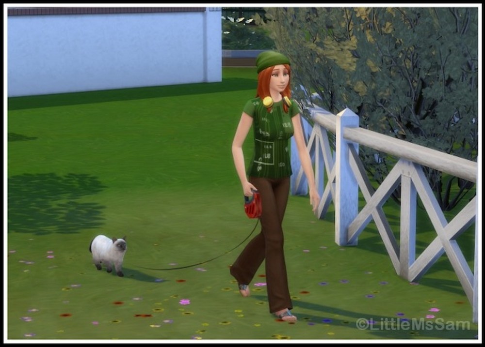 Sims walk cats mod