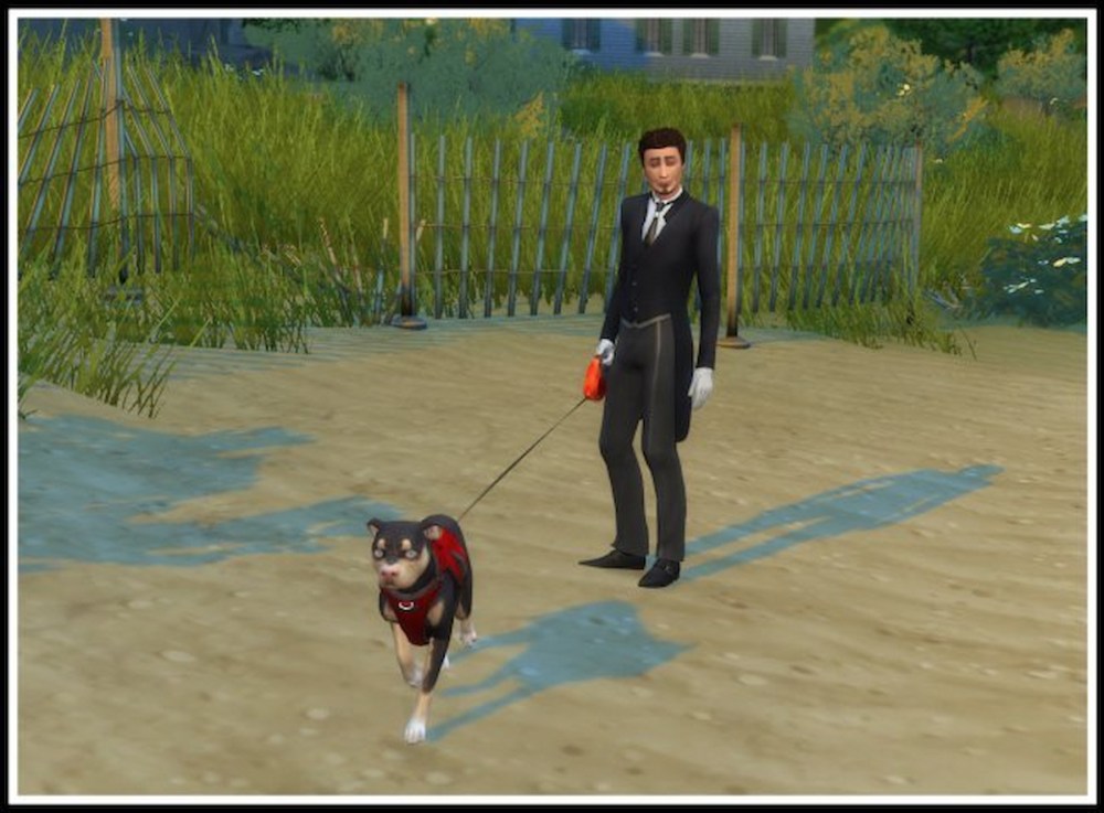 Sims dog walker mod