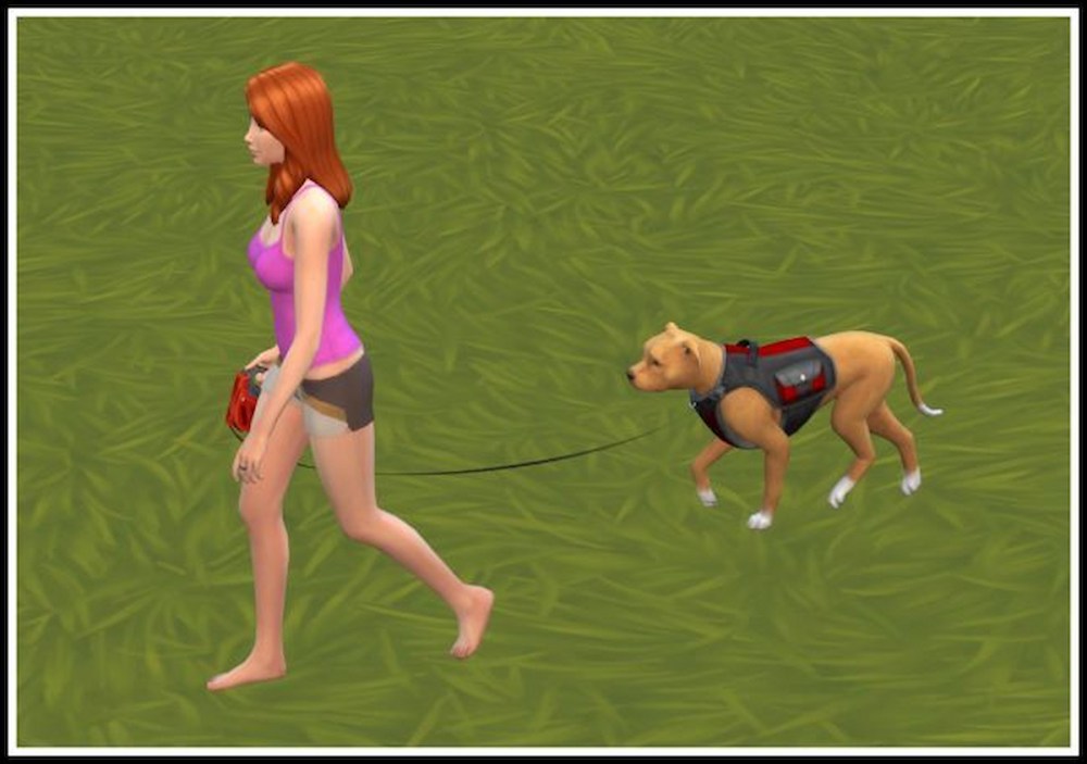 Sims quick walks mod