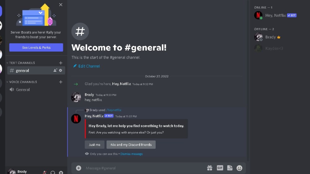 Hey, Netflix discord bot used in Discord