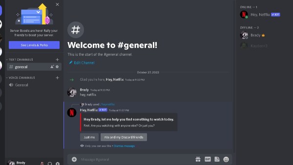 How to Use the Netflix Discord Bot, All Features Explained