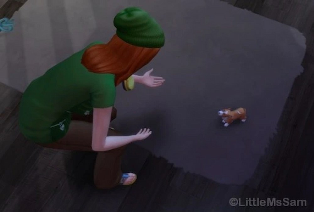 Sims puppy train mod