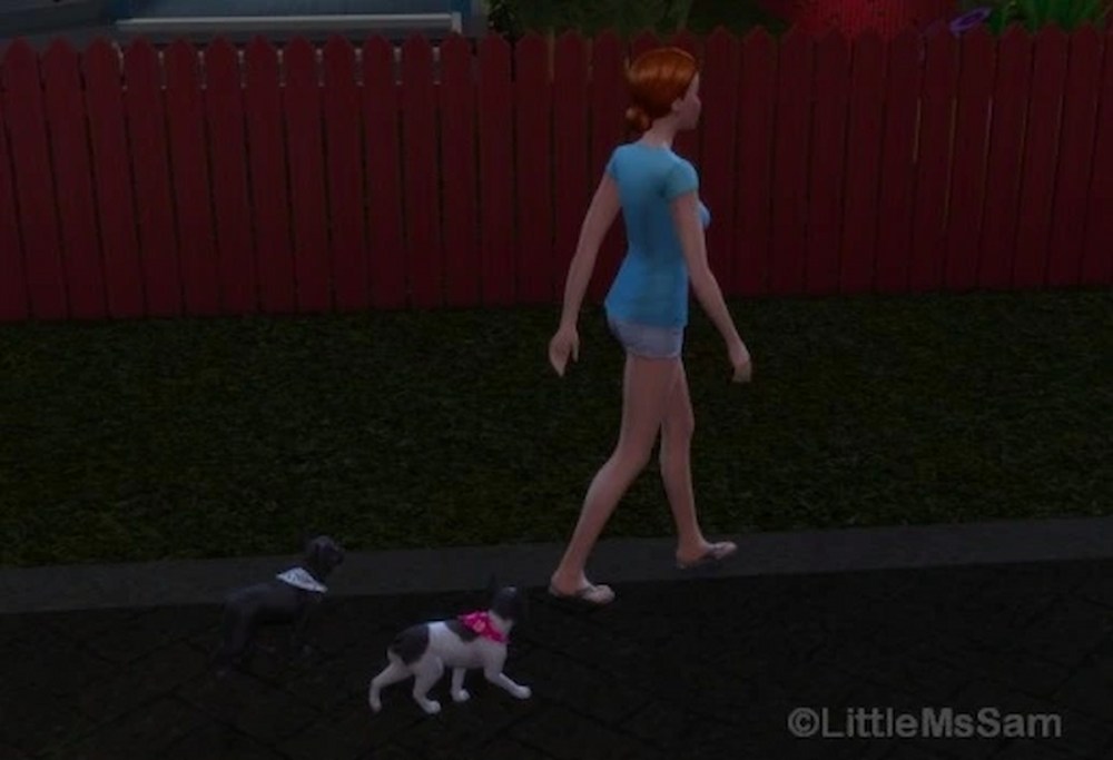 Walk more pets Sims mod